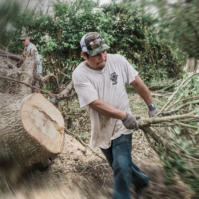 man pulling tree branch